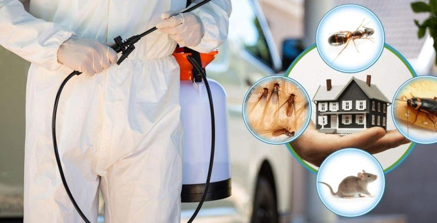 Balatçık Böcek İlaçlama