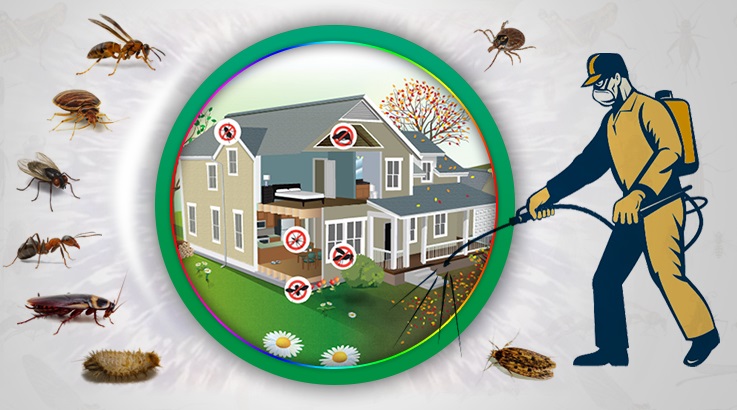 Balatçık Böcek İlaçlama