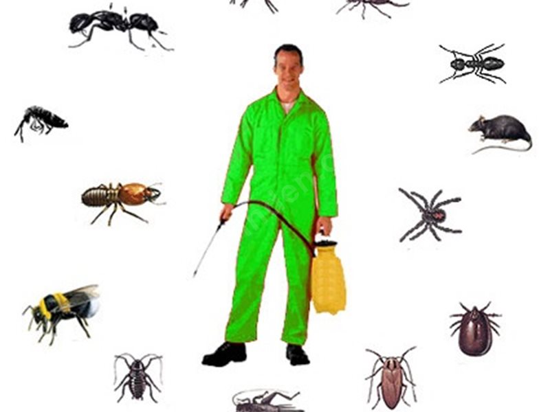 Balatçık Böcek İlaçlama